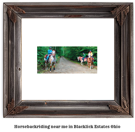 horseback riding near me in Blacklick Estates, Ohio